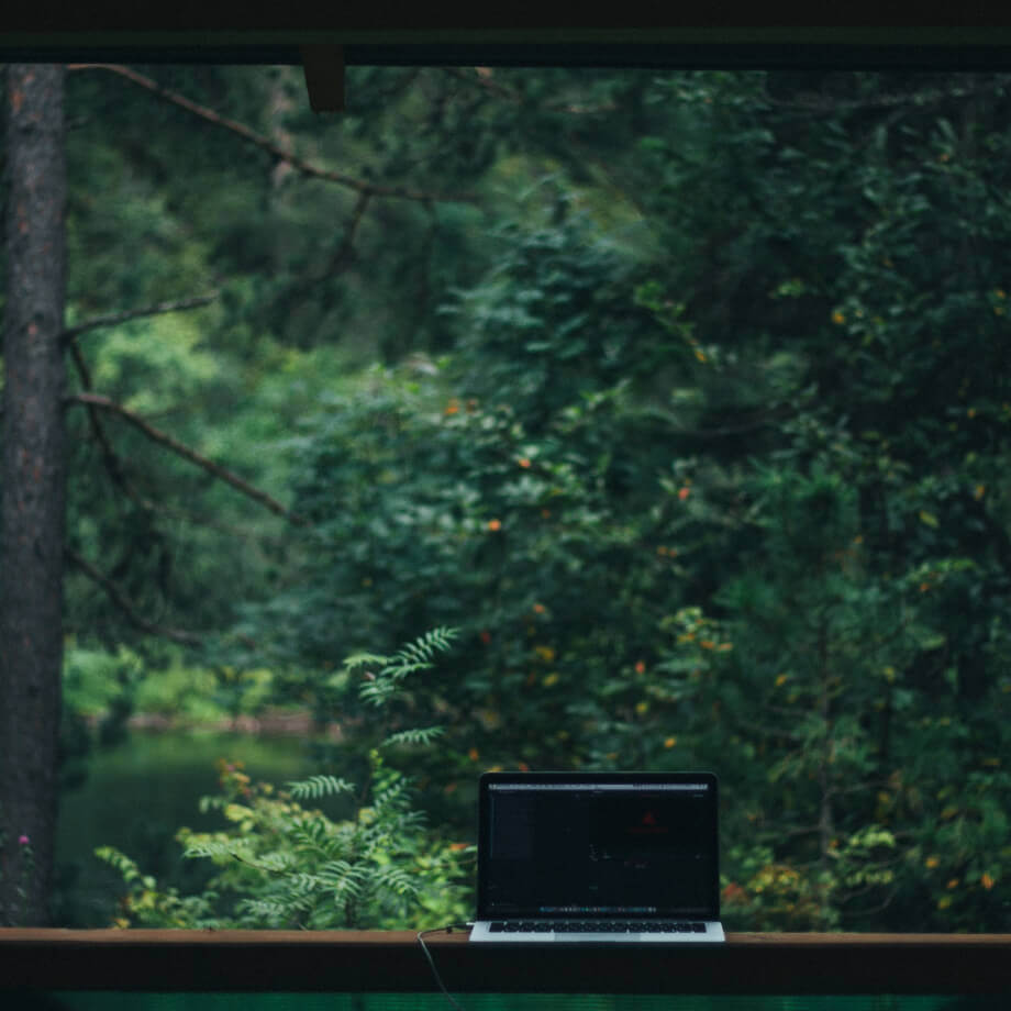 Ноутбук на фоне леса